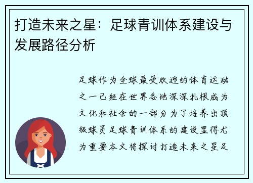 打造未来之星：足球青训体系建设与发展路径分析
